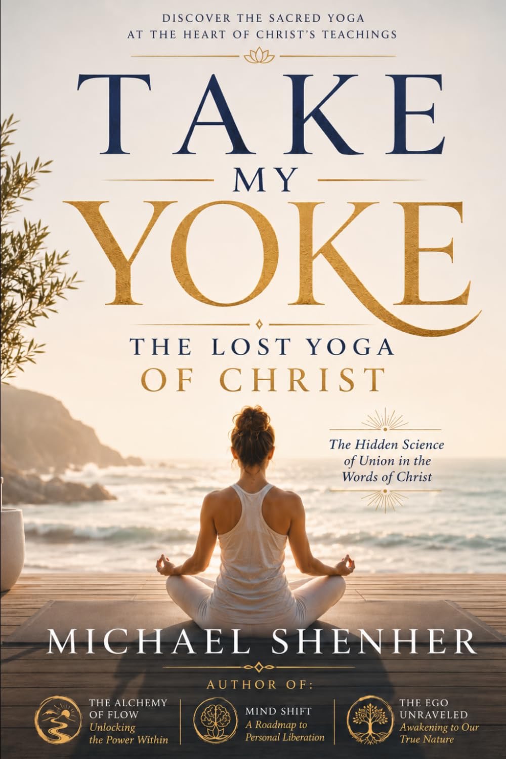 Take My Yoke book cover